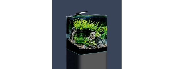 Aquarien Cubes und Setangebote