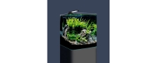 Aquarien Cubes und Setangebote
