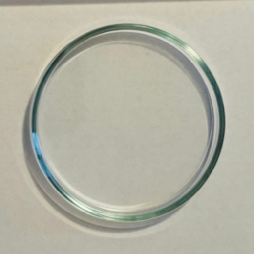 Elegante Glas-Futterschale zur sauberen Fütterung von Garnelen im Aquarium – verhindert Futterreste im Bodengrund.