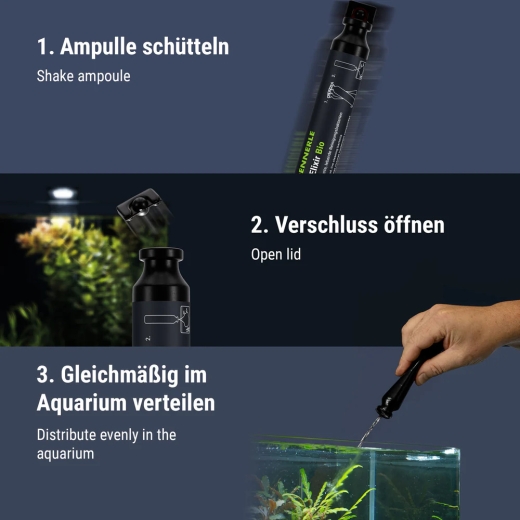"Sicherheit für deine Lieblinge: Ein gesundes Bakterienmilieu sorgt für Schadstofffreiheit. Das Bild zeigt vitale Zwerggarnelen in kristallklarem Wasser – das Ergebnis einer optimal funktionierenden biologischen Filterung durch Dennerle Bacto Elixir."