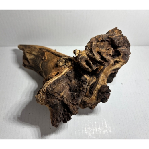 „Einzigartiges Natur-Unikat: Unsere Mopani-Wurzeln bestechen durch ihre markante Maserung und bieten Ihren Garnelen den perfekten Platz zum Verstecken und Grasen.“