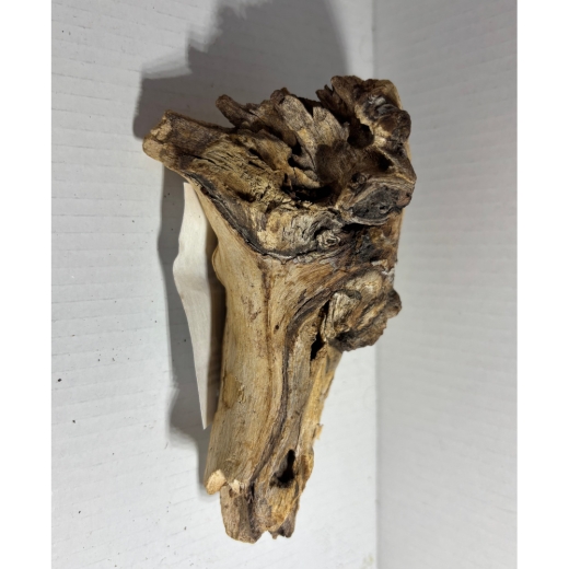 Mopani Wurzel Nano S