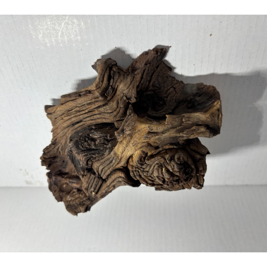 Mopani Wurzel Nano S