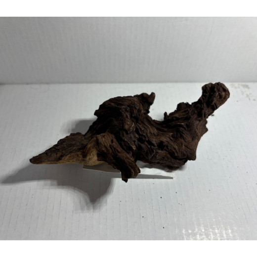 „Einzigartiges Natur-Unikat: Unsere Mopani-Wurzeln bestechen durch ihre markante Maserung und bieten Ihren Garnelen den perfekten Platz zum Verstecken und Grasen.“