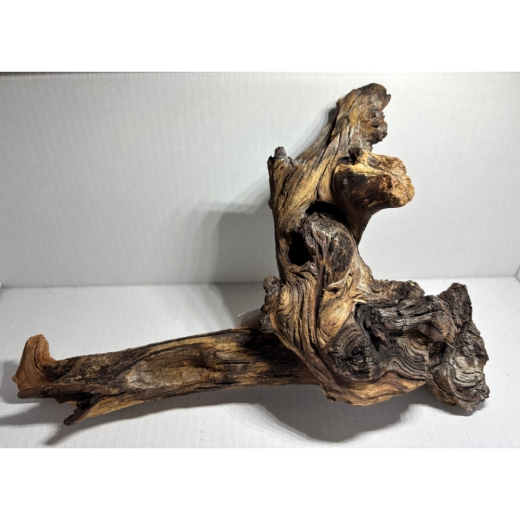 „Einzigartiges Natur-Unikat: Unsere Mopani-Wurzeln bestechen durch ihre markante Maserung und bieten Ihren Garnelen den perfekten Platz zum Verstecken und Grasen.“