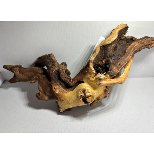 „Einzigartiges Natur-Unikat: Unsere Mopani-Wurzeln bestechen durch ihre markante Maserung und bieten Ihren Garnelen den perfekten Platz zum Verstecken und Grasen.“