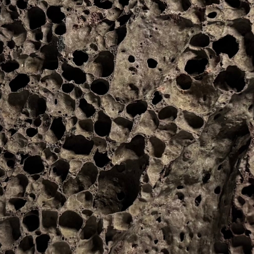 „Perfekt für kleine Aquarien: Dieser hochporöse Island Lava Stein bietet auf kleinstem Raum maximale Fläche für nützliche Bakterien und Ihre Garnelen.“