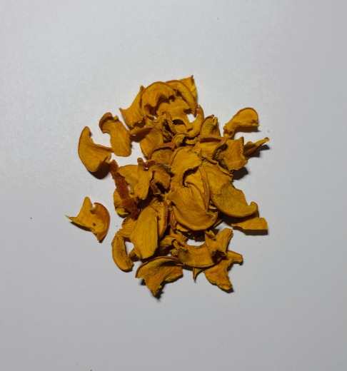 Hokkaido-Chips als pflanzliche Futterergänzung für Zwerggarnelen und Schnecken im Süßwasseraquarium. Getrocknete Kürbisstücke zur abwechslungsreichen Fütterung von Garnelen und Aquarienschnecken.