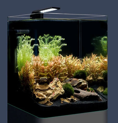 Zwerggarnelen im eingerichteten Dennerle Nano Cube 20L