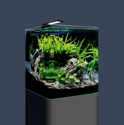 Zwerggarnelen im eingerichteten Dennerle Nano Cube 30L