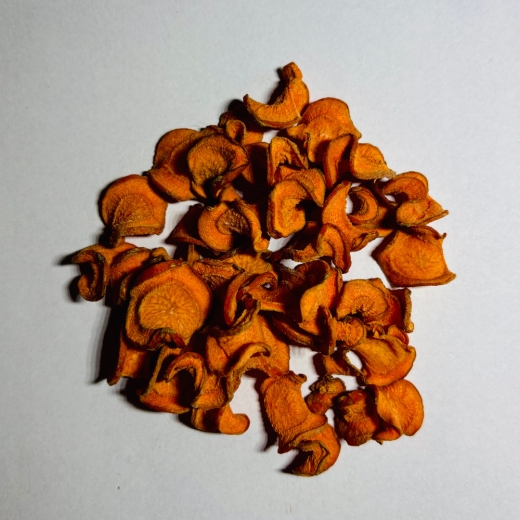 5er-Probier-Set für Zwerggarnelen & Schnecken – 5 × 10 g Futterspezialitäten