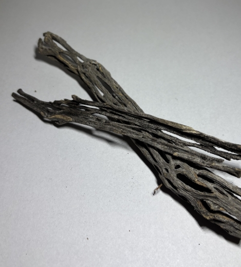 Cholla Wood (2 Stück) – Garnelen Versteck