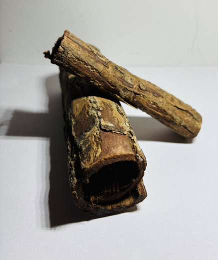 Seemandelbaumhöhle - groß (ca. 15 x 5 cm)