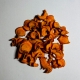 5er-Probier-Set für Zwerggarnelen & Schnecken – 5 × 10 g Futterspezialitäten