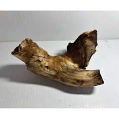 Mopani Wurzel Nano S