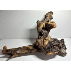 Mopani Wurzel Nano M