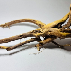 Aquarienwurzel groß 18,90 €