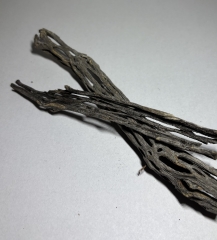 Cholla Wood (2 Stück) – Garnelen Versteck