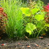 Top Beratung & Support für Ihr Aquarium