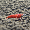 Top Beratung & Support für Ihr Aquarium