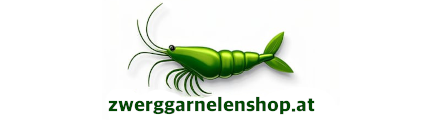 Zwerggarnelenshop.at